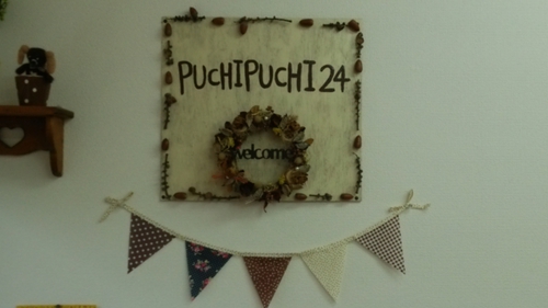 PUCHIPUCHI24