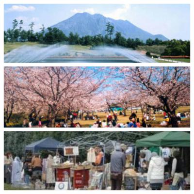 今度の土日は、吉野公園さくら祭り