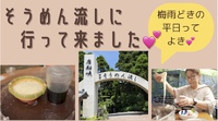 動画を公開しました