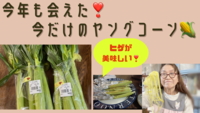 今年も会えた 今年も会えた