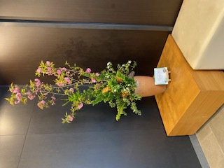 フロントでお花見