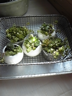 一日目終わりました