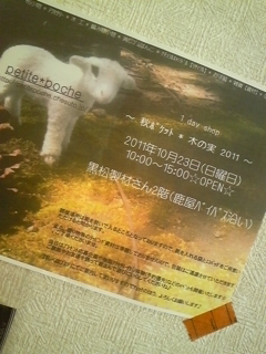 秋ポケット*木の実2011