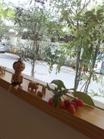 のみ・・・