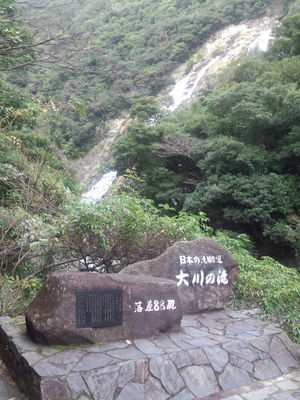 大自然!屋久島!