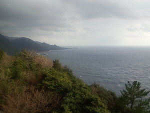 大自然!屋久島!