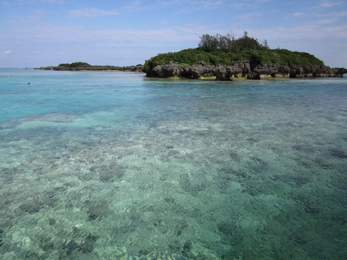与論島の透き通ったキレイな海♪