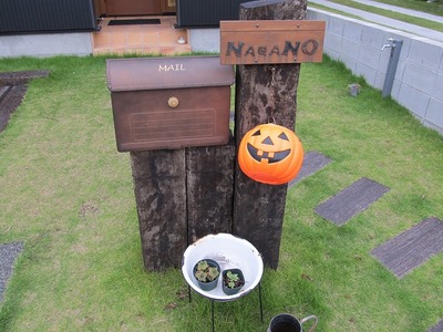ハロウィンの季節ですね☆