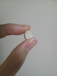 ゆうがおの種ゲット