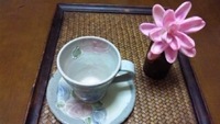 優しい色ﾟ･｡+☆