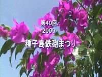 歴史を動かした爆音！！種子島鉄砲まつりの鉄砲演舞編