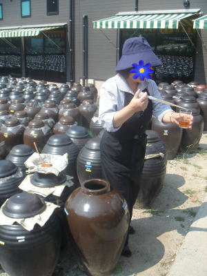 色んな秋