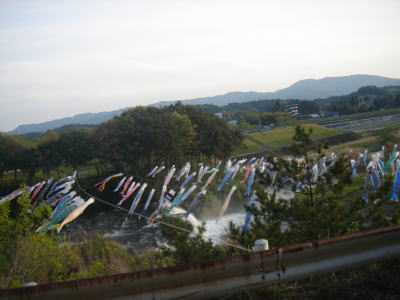 牛・・・発見!!