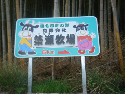牛・・・発見!!