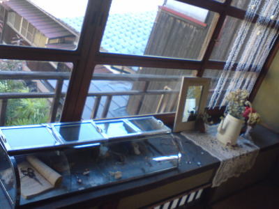 てづくり美術館レポ♪