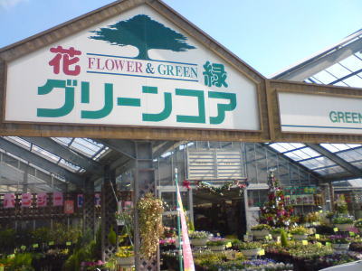 加世田ツアー第二段♪