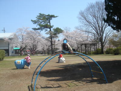 桜も笑顔も♪