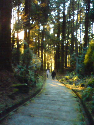年末年始の行事♪