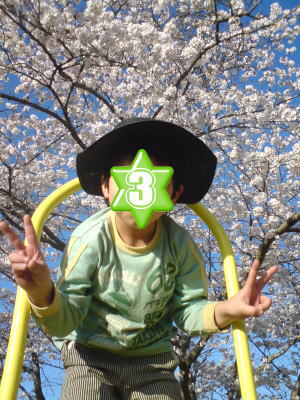 桜・ど満開♪