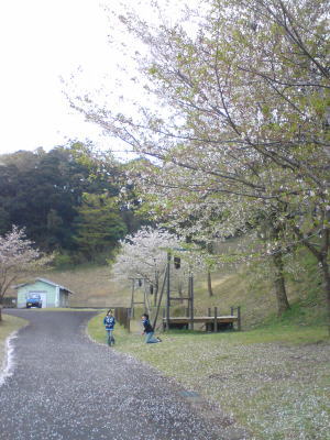 四季祭~弥五郎どん♪