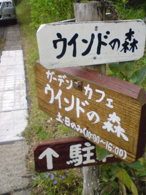 ウィンドの森♪
