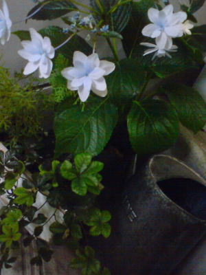 お花とグリーン♪
