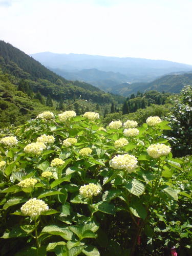 出水・東雲の里