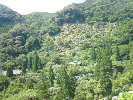 出水・東雲の里