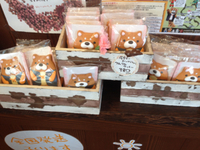 つんつん。
