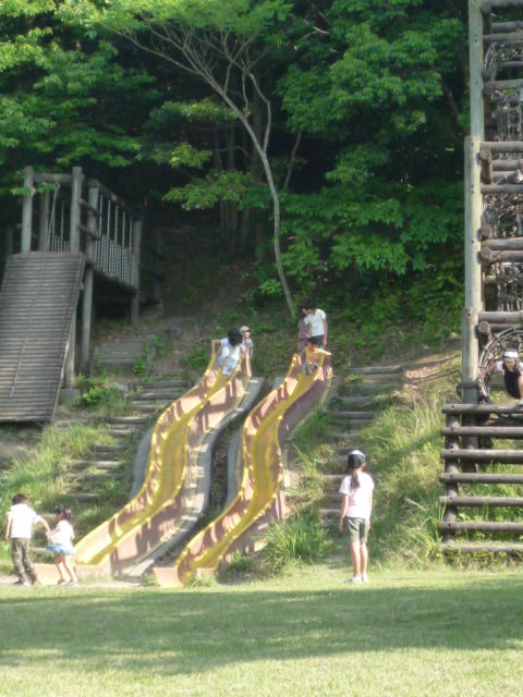 kittys in バラ園