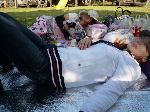 kittys in バラ園