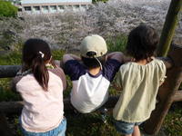 2009年04月09日