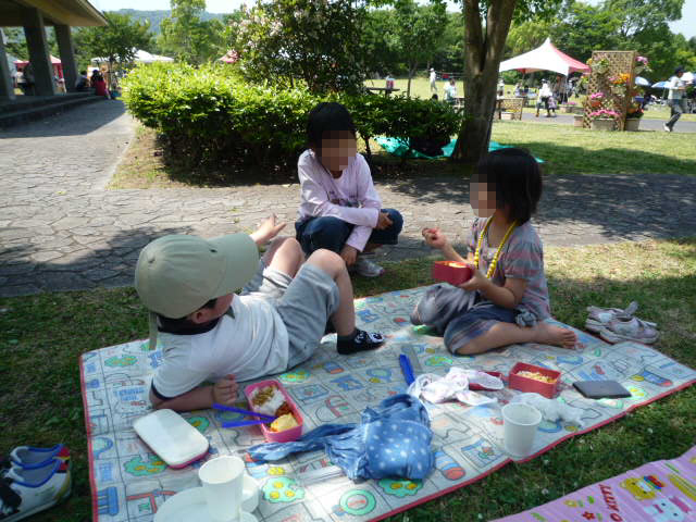kittys in バラ園