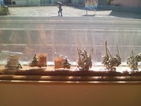 気持ちいいねぇ。。天日干し