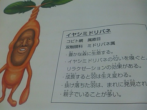 キモイけど人気なの2
