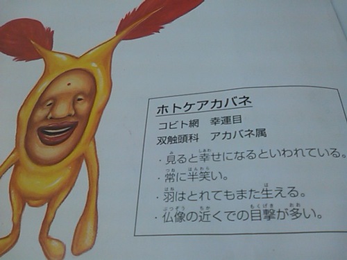 キモイけど人気なの2