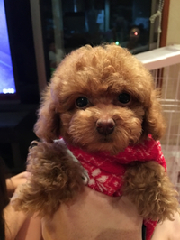新入りちゃん♡♡