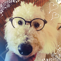 やっと晴れました♡♡