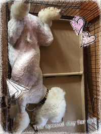 だいきっつぁん♡♡
