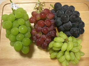 ぶどう・葡萄・ブドウ