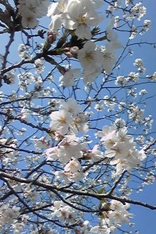 お迎えに