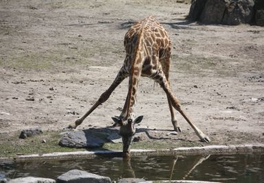 平川動物園