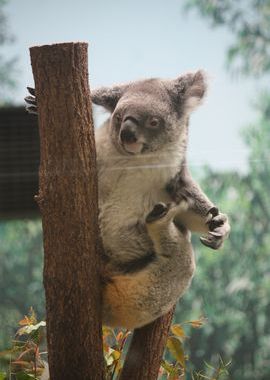平川動物園