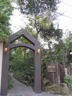 ランチ　Arbor（アーバー）