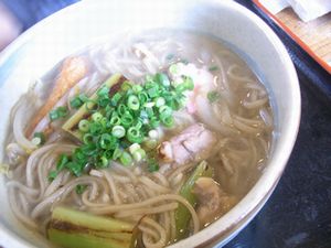 北薩の旅