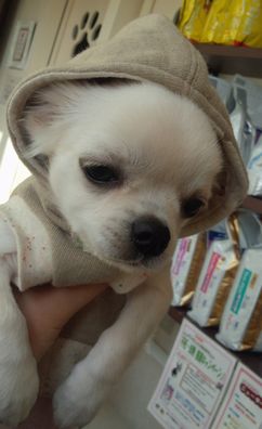 サーキュラースカート