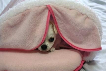 次から次へと・・・