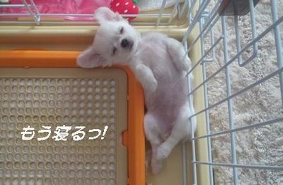 食いしん坊
