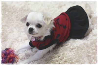 甥っ子のTシャツ