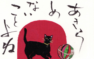 今日は夢猫です